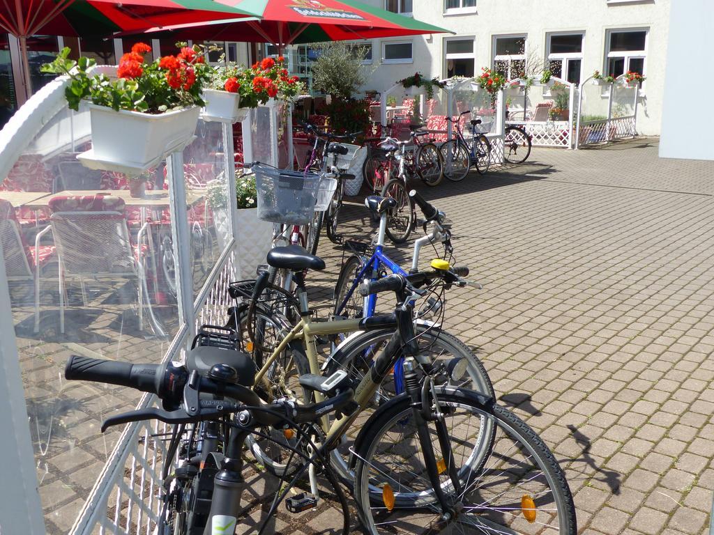 Hotel Dorotheenhof Cottbus Exterior photo